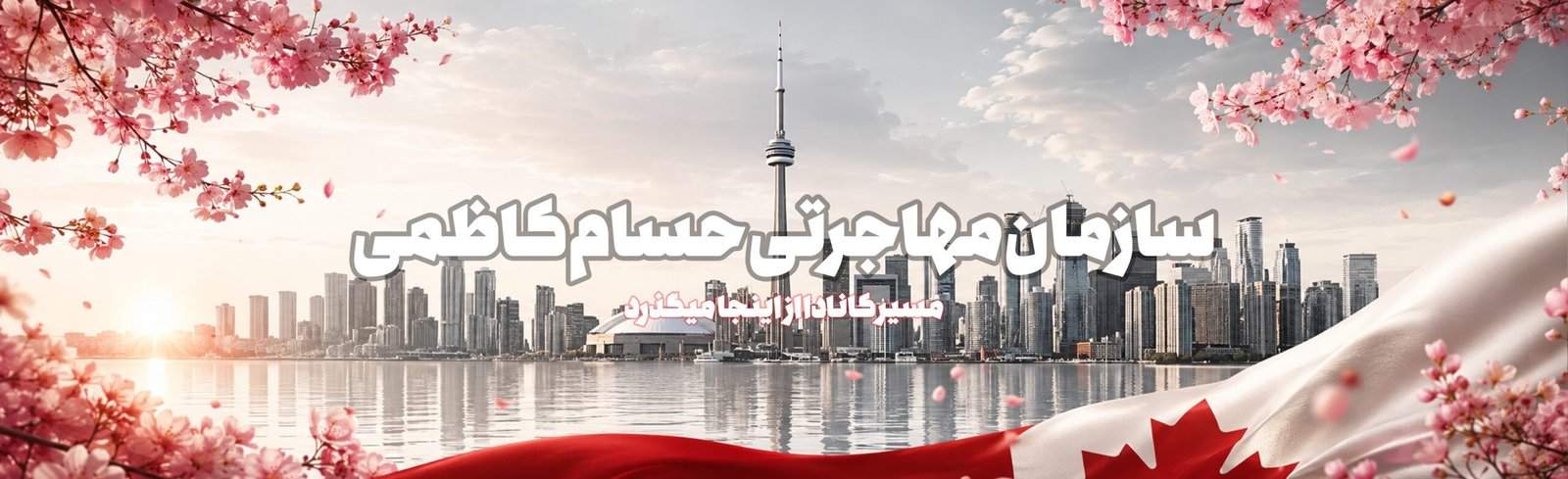 سازمان مهاجرتی حسام کاظمی